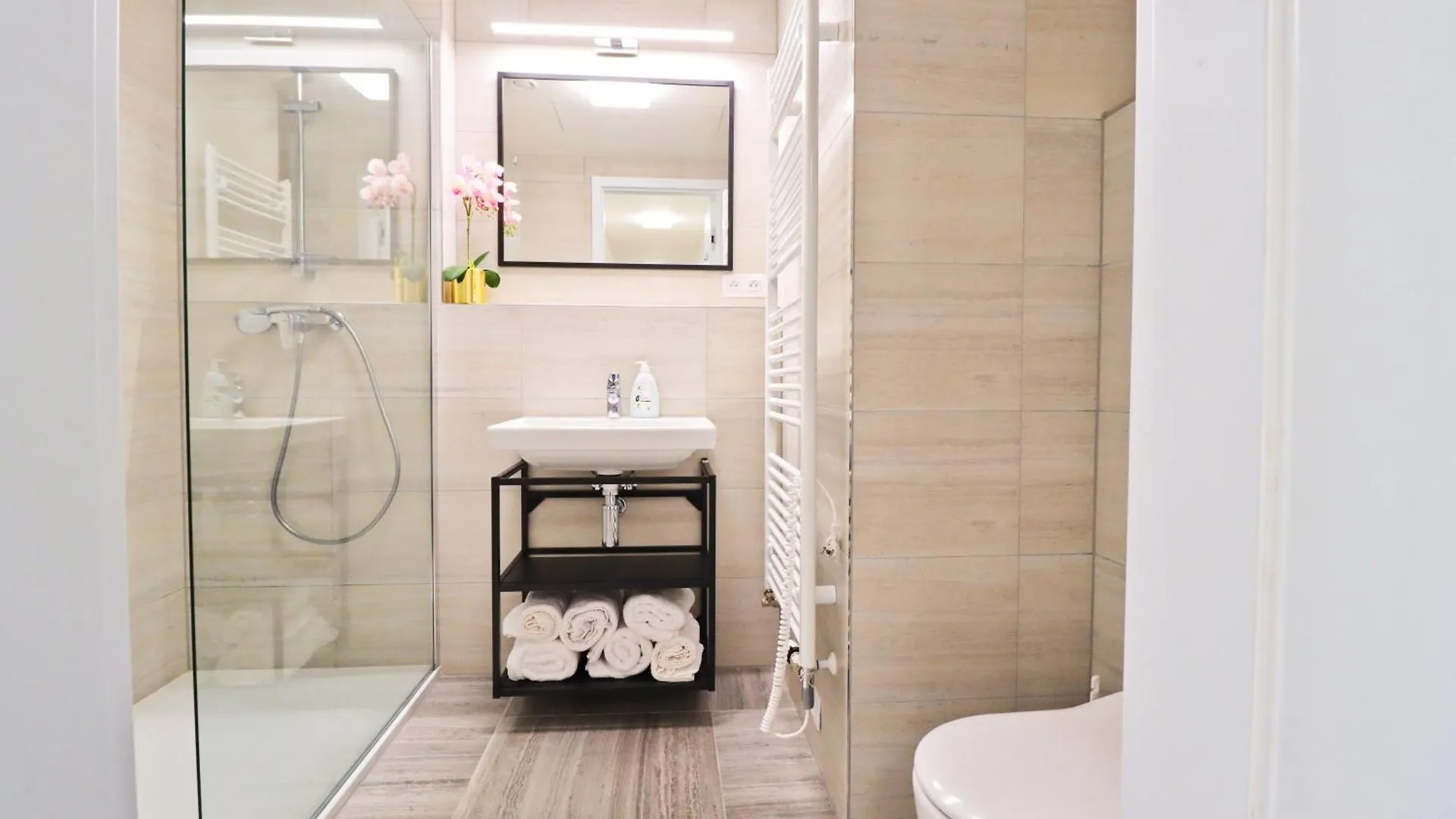 Sunny Apartment In Smichov, Prague 5